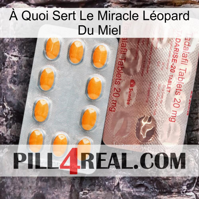 À Quoi Sert Le Miracle Léopard Du Miel new13